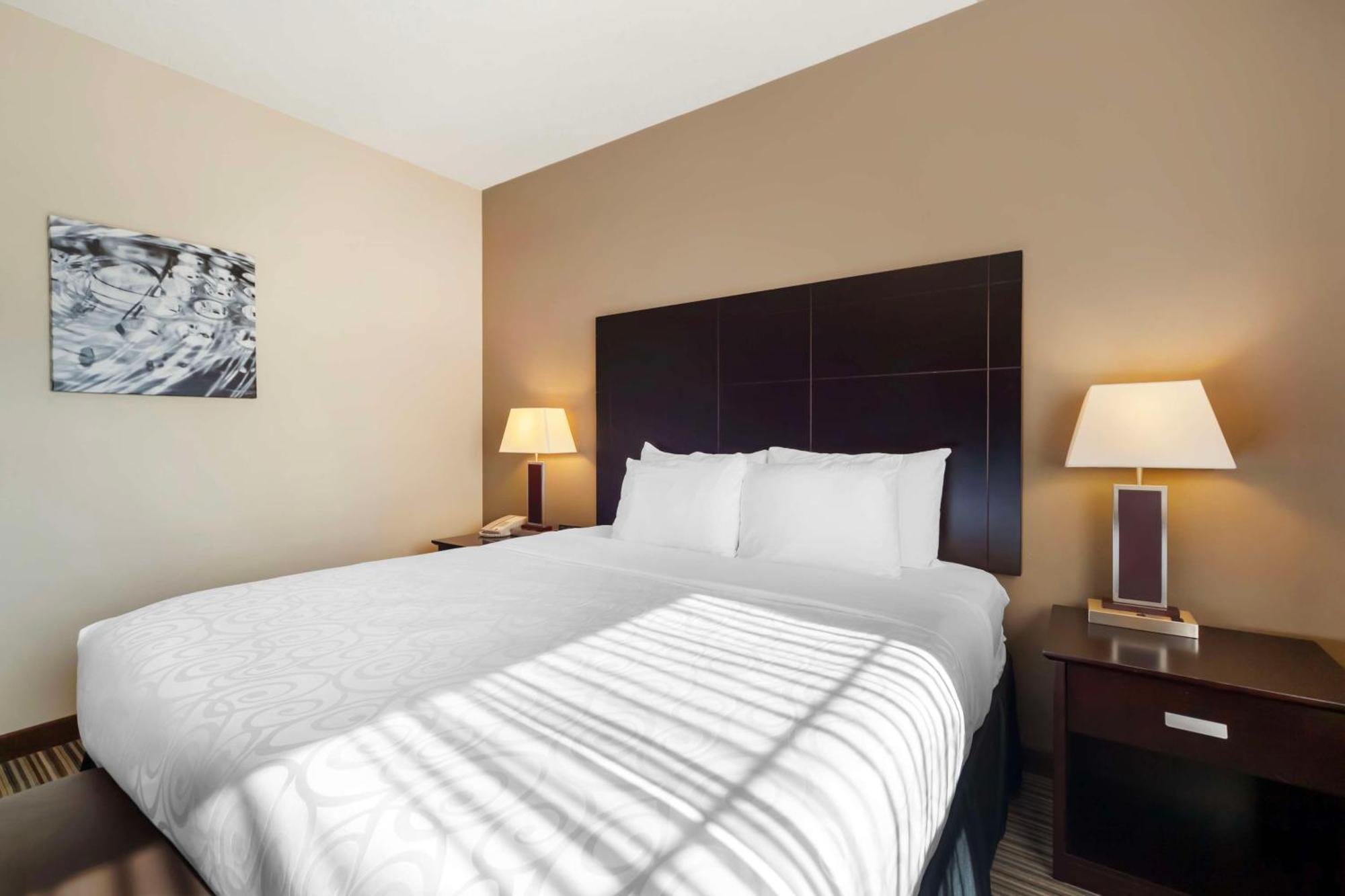 Best Western Plus Peace River Hotel & Suites Εξωτερικό φωτογραφία